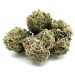 Blueberry Cream Indica Hybrid Cannabis Strain