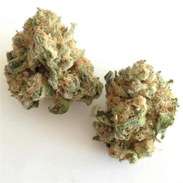 White Widow aka The Web-Slinger or The Mary Jane Watson Special Marijuana Strain