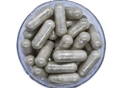 Neuro Brain – 100mg Microdose Brain Formula to promote neurogenesis
