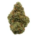 Pure Kush Indica Strain