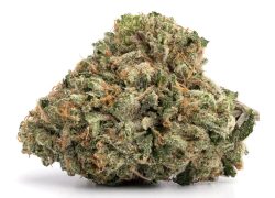 Sweet Gas Indica Marijuana Strain (AAA+++)