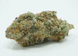 Big Buddha Cheese Indica Hybrid Strain