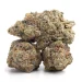 Apple Fritter Zkittlez Hybrid Marijuana Strain (AAA+)