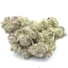 White Widow Hybrid Marijuana Strain (AAAA Smalls)