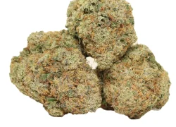 Mandarin Cookies Hybrid Marijuana Strain (AAA)