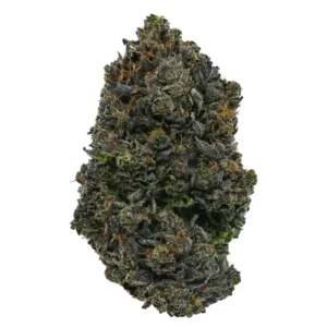 Death Star Indica Dominant Hybrid (Quad AAAA+)