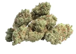 Pink Runtz Hybrid Marijuana Strain