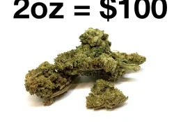 Adios MF aka AMF Hybrid Marijuana Strain