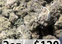 Sundae Driver Marijuana Strain