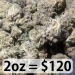 Biscotti Sundae Hybrid Marijuana Strain