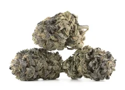 Pink Bubba Indica Marijuana Strain (AAAA Smalls)