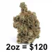 Purple Trainwreck Hybrid Marijuana Strain