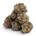 Diablo Sativa (AAA+++)