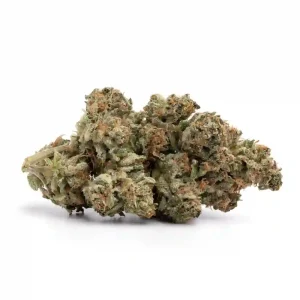 Close-up of Death Berry cannabis strain buds, light green with purple accents, frosty trichomes, and vibrant resin.