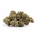 Death Berry Indica Marijuana Strain (AAA+++)
