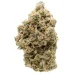 Girl Scout Cookies aka GSC Indica Hybrid Marijuana Strain (AAA+++)