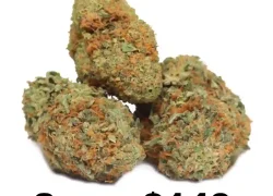 Ice Cream Cake Indica Hybrid Marijuana Strain