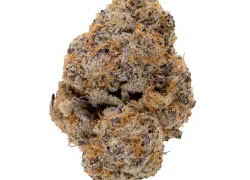 Animal Crackers – Indica-Dominant Hybrid (AAA+++)