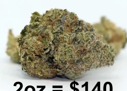 Space Queen Sativa Hybrid Marijuana Strain