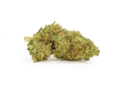 Cream Mandarin Marijuana Strain (AAA++)