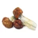 Mushrooms – Blue Pulaski – Dried Mushrooms