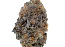 Krispy Kreme Indica Marijuana Strain (AAA+++)