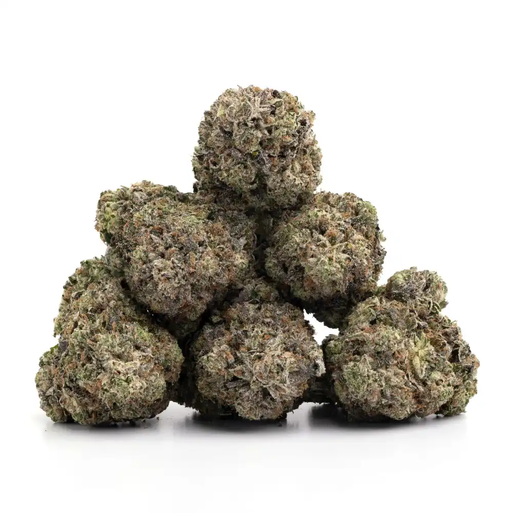 Mike Tyson Pure Indica Strain (Quad AAAA++)