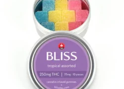 250mg Delta 9 THC Tropical Assorted Gummies – Bliss