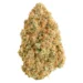 Blue Dream Sativa Hybrid Marijuana Strain (AAA+++)