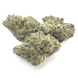 Bubble Gum Gelato Hybrid (Quad AAAA+ Quality)