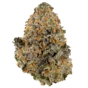 Larry Bird Strain (Gelato #33) Hybrid Weed Strain (Quad AAAA+)