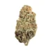 Critical Indica Marijuana Strain (AAA+++)