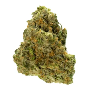 San Fernando Valley OG Indica Cannabis Strain (Quad AAAA+ Quality)
